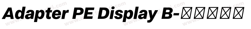 Adapter PE Display B字体转换